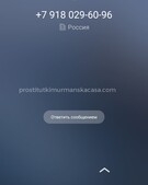 Анкета проститутки Викуля - метро Тропарево-Никулино, возраст - 27